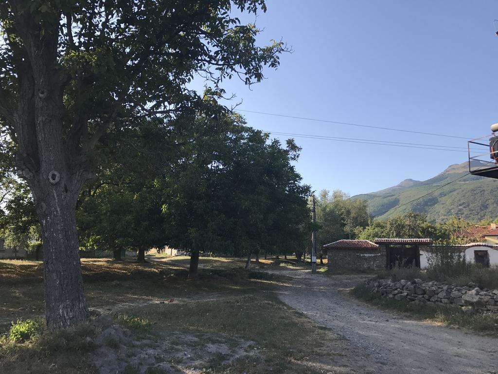 Guesthouse Planinsko Gnezdo Tuzha Bagian luar foto