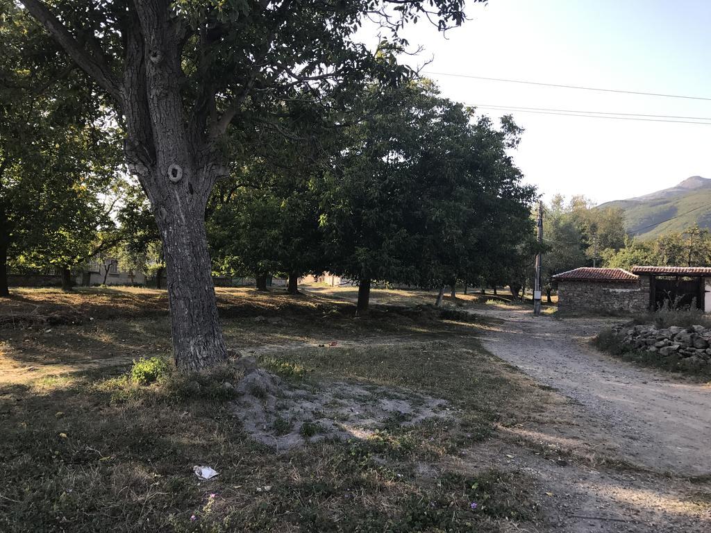 Guesthouse Planinsko Gnezdo Tuzha Bagian luar foto