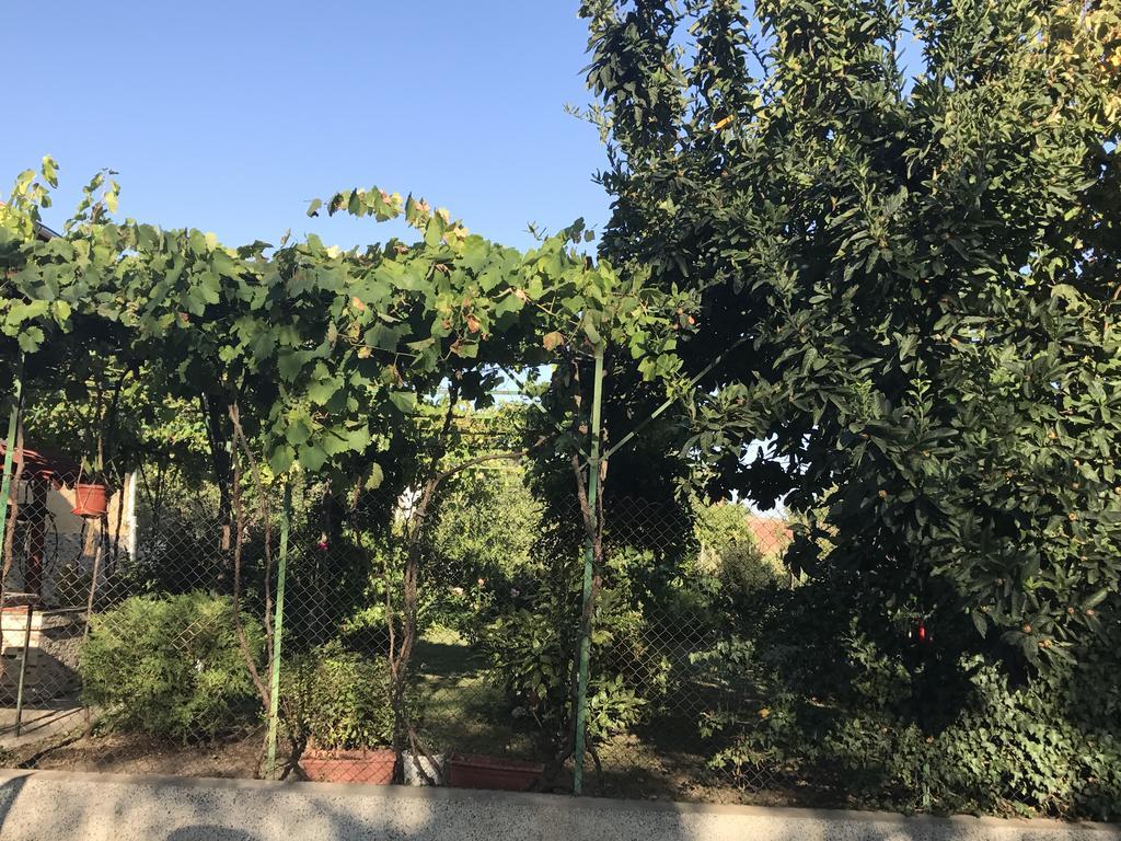 Guesthouse Planinsko Gnezdo Tuzha Bagian luar foto