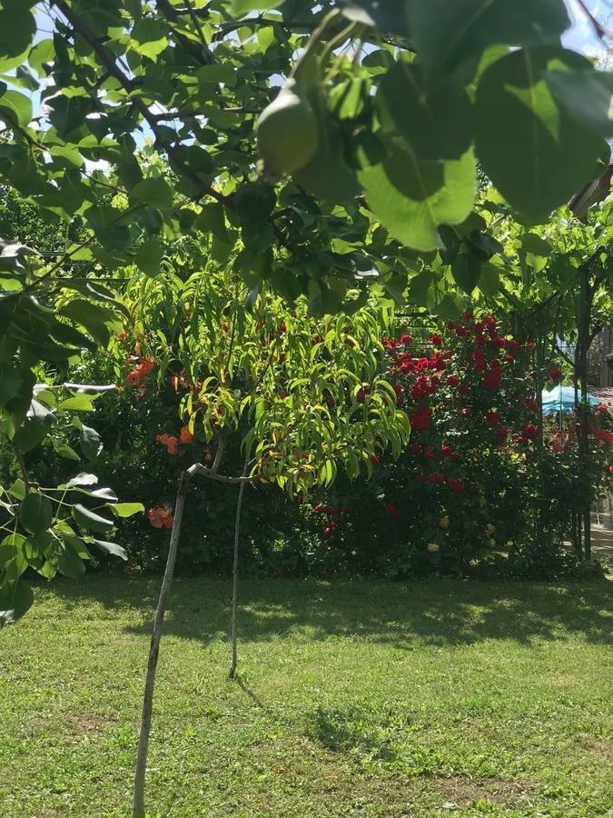 Guesthouse Planinsko Gnezdo Tuzha Bagian luar foto