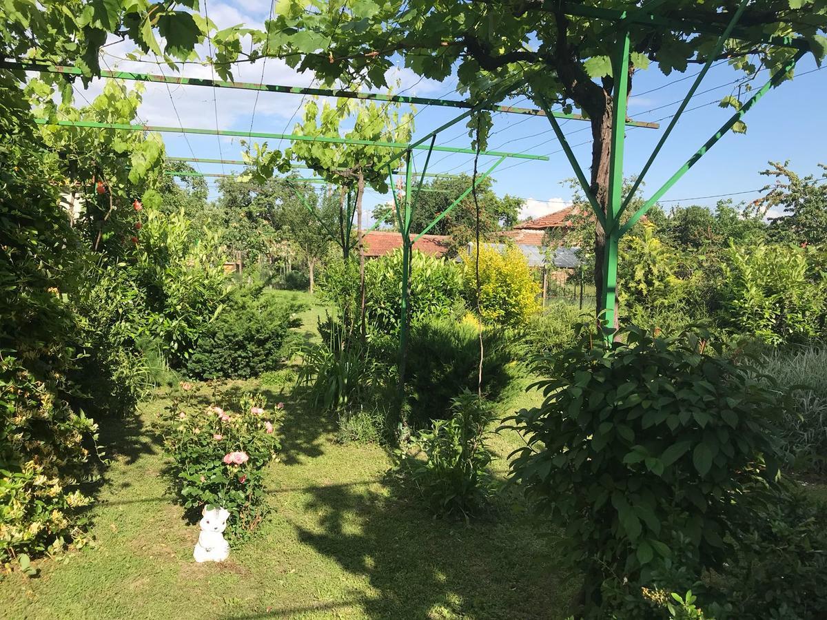 Guesthouse Planinsko Gnezdo Tuzha Bagian luar foto